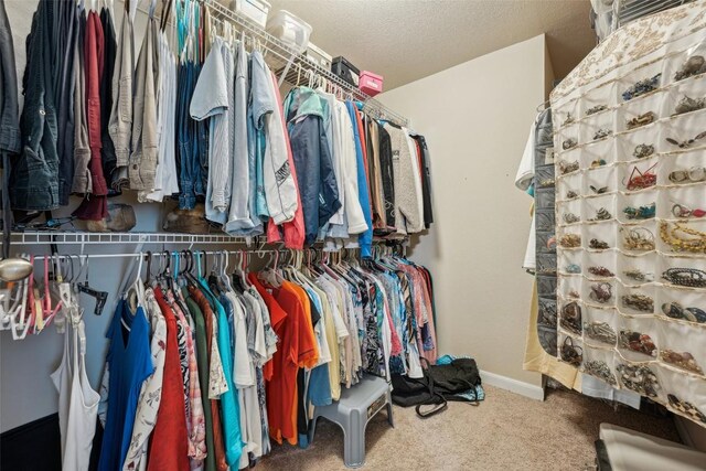 1261 Nevarez, Kyle, TX 78640 - spacious closet featuring carpet floors