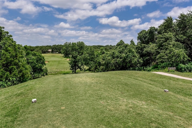 21710 Patton Dr, Lago Vista, TX 78645 - view of green lawn featuring golf course view