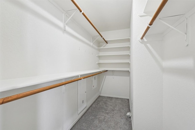 14009 Rountree Ranch Ln, Austin, TX 78717 - spacious closet with carpet flooring