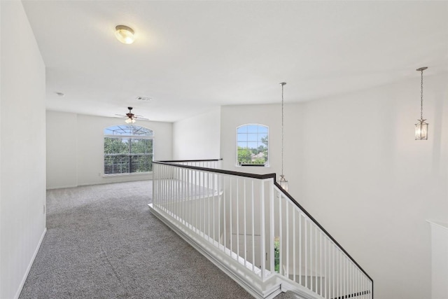 14009 Rountree Ranch Ln, Austin, TX 78717 - corridor featuring plenty of natural light, carpet flooring, and baseboards