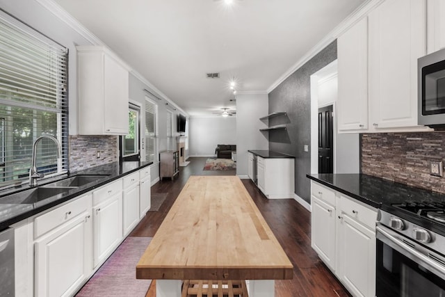 1600 Serenity Springs Cv, Cedar Park, TX 78613 - kitchen with a sink, backsplash, a ceiling fan, dark wood-style floors, and crown molding