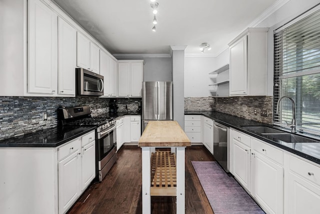 1600 Serenity Springs Cv, Cedar Park, TX 78613 - kitchen with appliances with stainless steel finishes, a sink, open shelves, crown molding, and white cabinetry