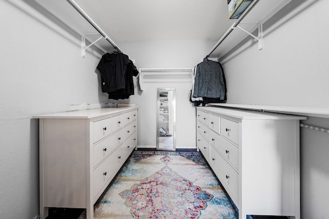 1600 Serenity Springs Cv, Cedar Park, TX 78613 - view of walk in closet