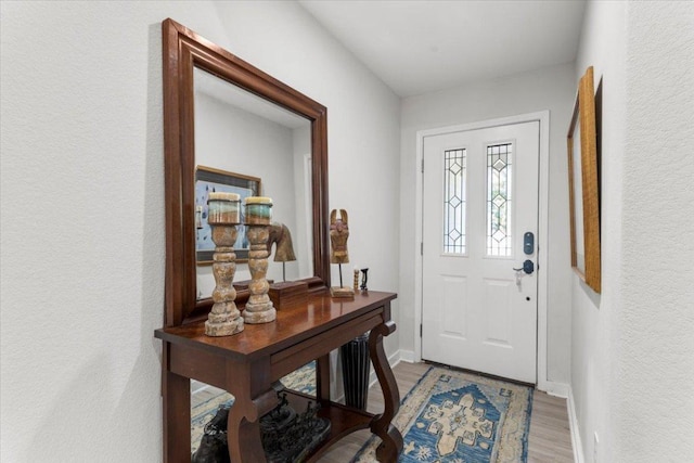 2003 Rain Water Dr, Austin, TX 78734 - foyer featuring wood finished floors and a textured wall
