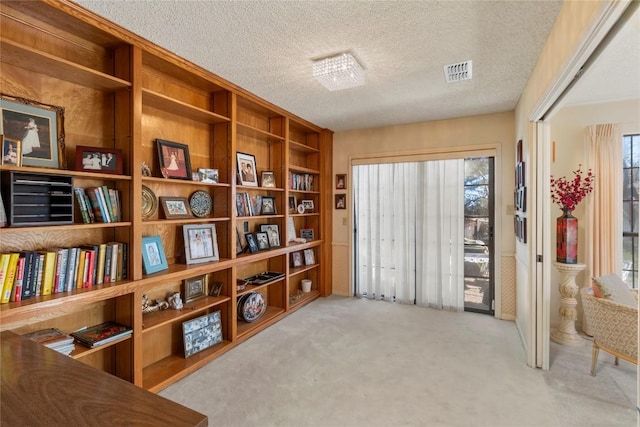 6203 Shadow Mountain Cv, Austin, TX 78731 - living area featuring carpet floors, healthy amount of natural light, and a textured ceiling