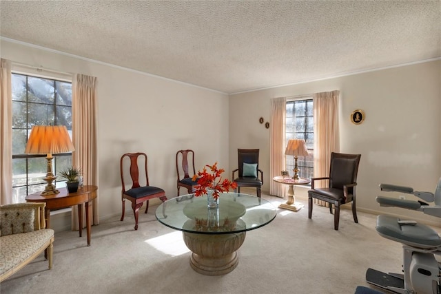 6203 Shadow Mountain Cv, Austin, TX 78731 - sitting room featuring carpet flooring, ornamental molding, and a textured ceiling