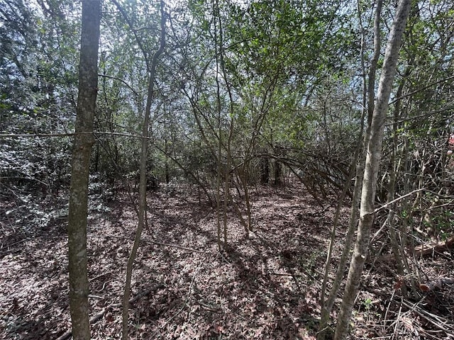 TBD Park Dr, Bastrop, TX 78602 - photo 5