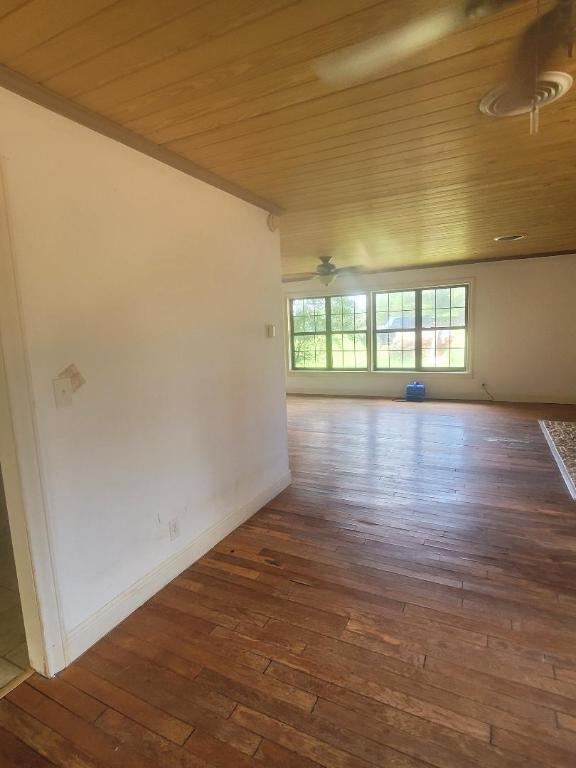 8164 Ranch Road 261, Buchanan Dam, TX 78609 - photo 7