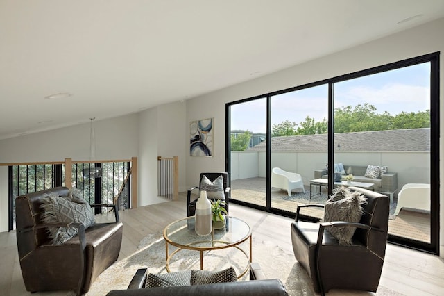 1805 Frazier Ave, Austin, TX 78704 - living room with light wood-style floors