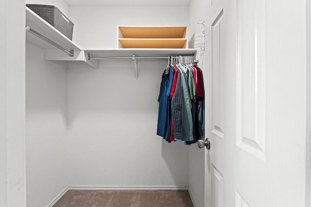 509 Big Bend Trl, Taylor, TX 76574 - spacious closet with carpet floors