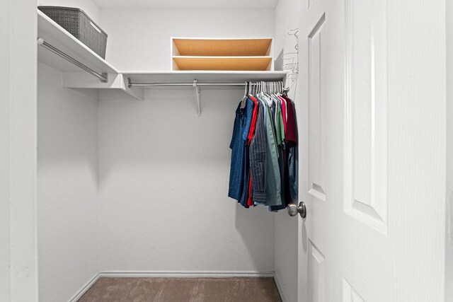509 Big Bend Trl, Taylor, TX 76574 - spacious closet with carpet floors