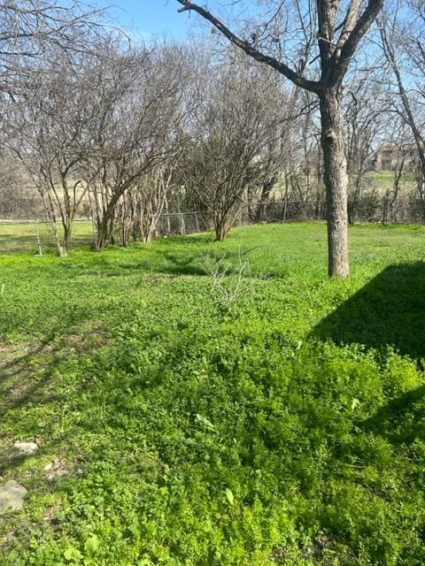 1008 Washburn St, Taylor, TX 76574 - view of green lawn