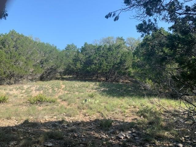 21402 Santa Domingo Ln, Lago Vista, TX 78645 - photo 3