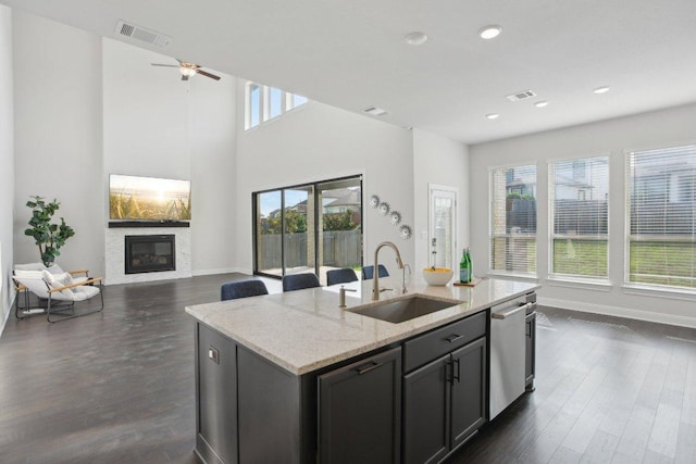 2436 Capestrano Cir, Round Rock, TX 78665 - kitchen featuring stainless steel dishwasher, a glass covered fireplace, open floor plan, dark wood-style floors, and an island with sink