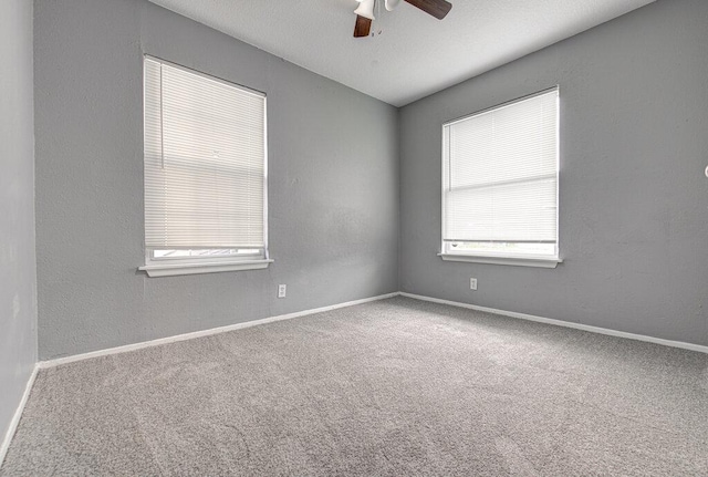 4401 Teri Rd, Austin, TX 78744 - carpeted empty room featuring plenty of natural light, a ceiling fan, and baseboards