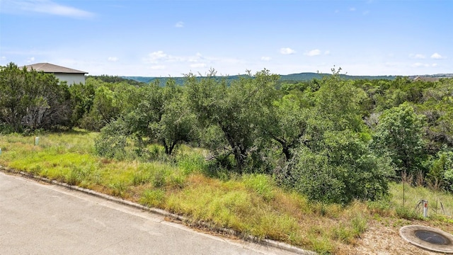 1022 Barrie Dr Unit 5, Austin, TX 78734