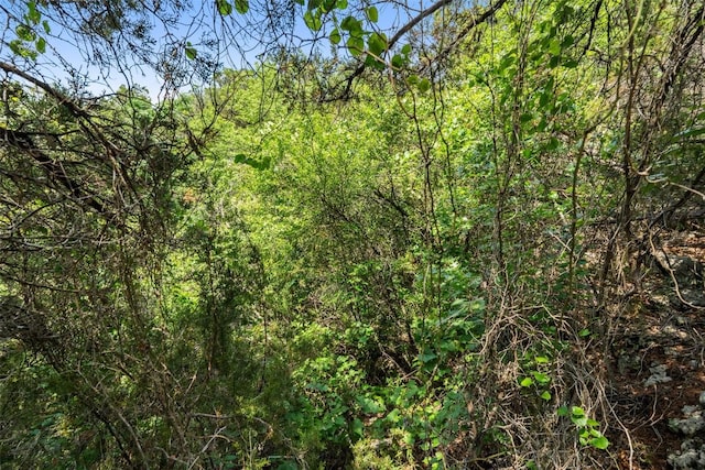 1022 Barrie Dr Unit 5, Austin, TX 78734