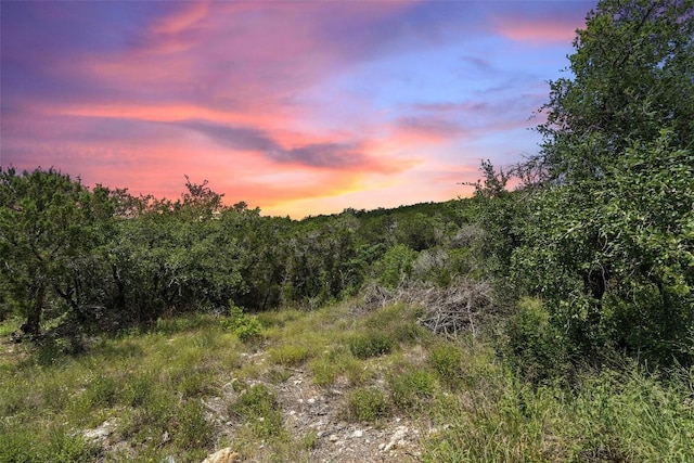 1022 Barrie Dr Unit 5, Austin, TX 78734