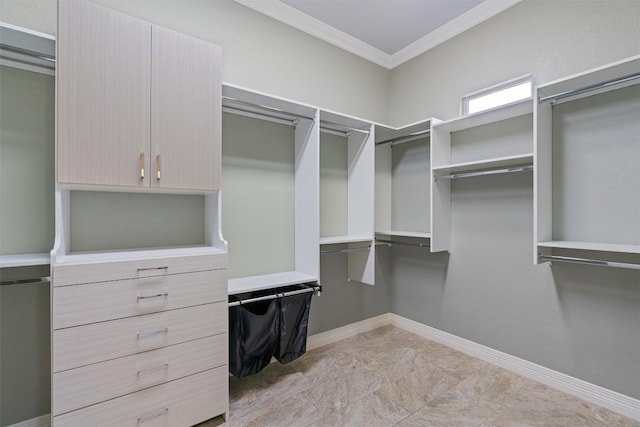 282 Trail Of The Flowers, Georgetown, TX 78633 - view of walk in closet