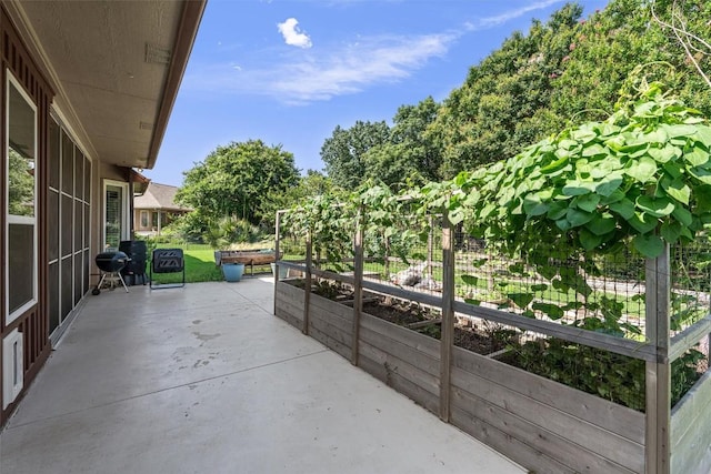 282 Trail Of The Flowers, Georgetown, TX 78633 - view of patio with a garden