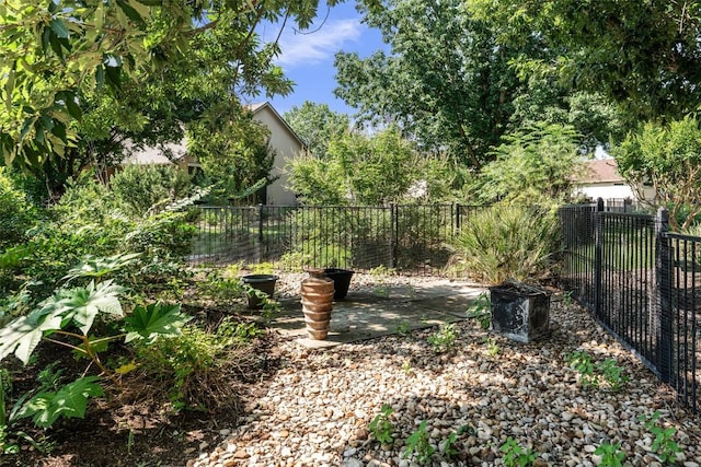 282 Trail Of The Flowers, Georgetown, TX 78633 - view of yard