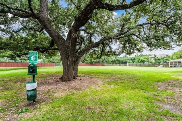 14815 Avery Ranch Blvd Unit 502, Austin, TX 78717 - photo 17