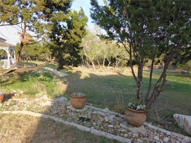159 Catfish Cv, Dripping Springs, TX 78620 - view of grassy yard