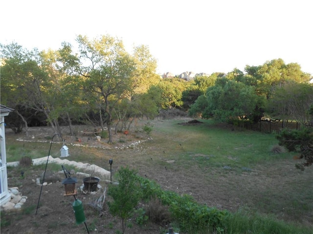 159 Catfish Cv, Dripping Springs, TX 78620 - view of yard