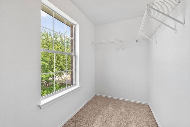 18109 Canopy Ln, Manor, TX 78653 - spacious closet with carpet