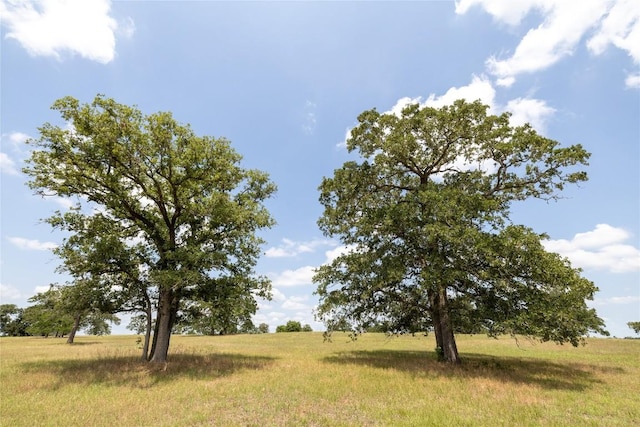 2901 Mule Creek Rd, Harwood, TX 78632