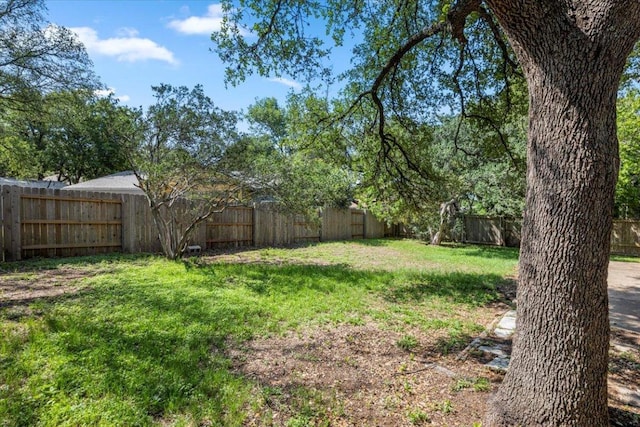 12103 Wycliff Ln, Austin, TX 78727 - view of yard