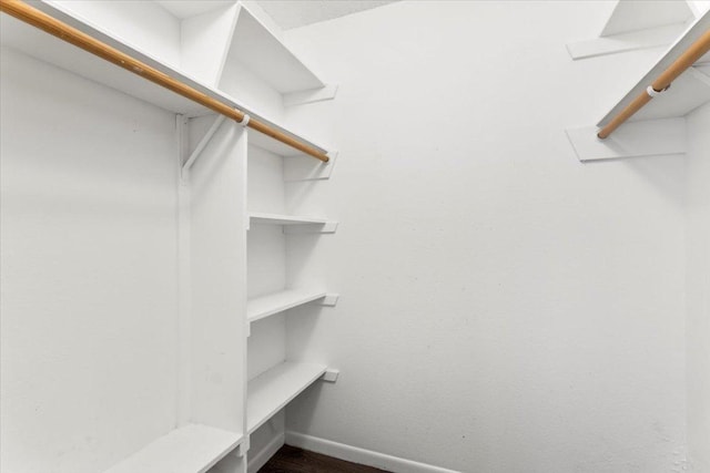 12103 Wycliff Ln, Austin, TX 78727 - view of spacious closet