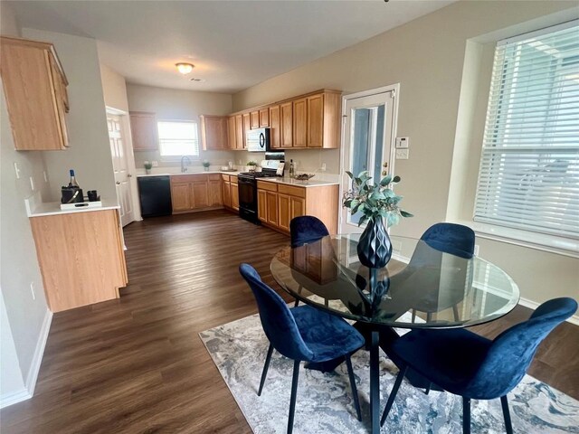 144 Sampson, Kyle, TX 78640 - dining space with dark wood-style floors and baseboards