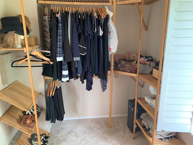 1813 Country Squire Dr, Cedar Park, TX 78613 - spacious closet with carpet flooring
