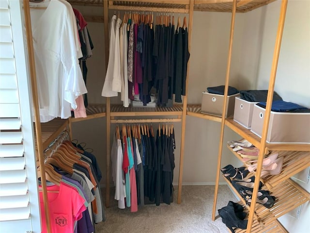 1813 Country Squire Dr, Cedar Park, TX 78613 - walk in closet with carpet flooring