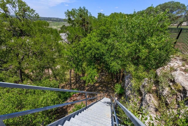 25036 River Rd, Spicewood, TX 78669 - view of yard