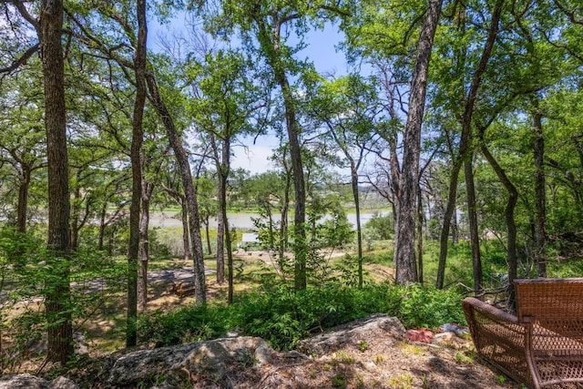 25036 River Rd, Spicewood, TX 78669 - view of undeveloped land with a nearby body of water