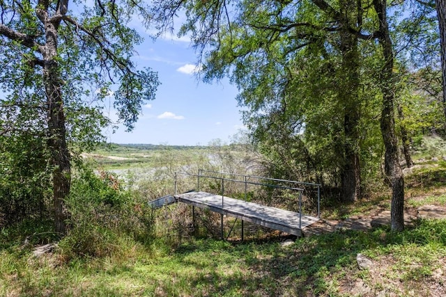 25036 River Rd, Spicewood, TX 78669 - view of yard