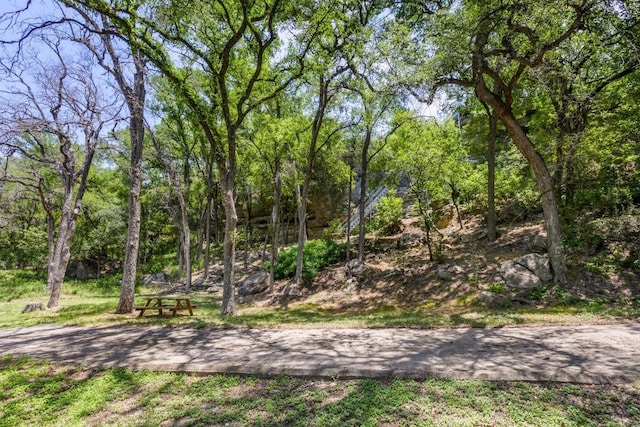 25036 River Rd, Spicewood, TX 78669 - photo 38