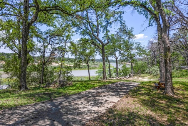 25036 River Rd, Spicewood, TX 78669 - surrounding community featuring a water view and driveway