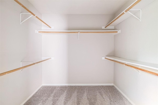 2509 Riddle Rd, Austin, TX 78748 - spacious closet with carpet