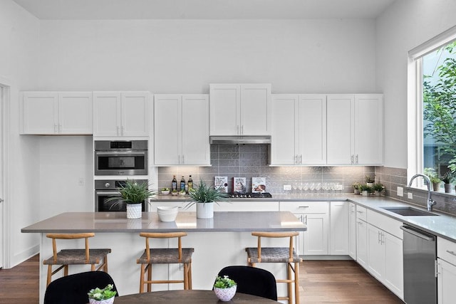 5324 Agatha Cir, Austin, TX 78724 - kitchen with dishwasher, a sink, white cabinetry, and a breakfast bar area
