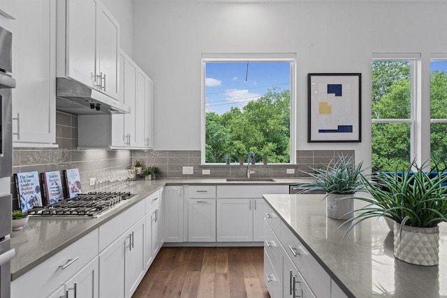5324 Agatha Cir, Austin, TX 78724 - kitchen with a sink, stainless steel gas cooktop, plenty of natural light, and light stone countertops