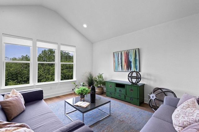 5324 Agatha Cir, Austin, TX 78724 - living room featuring lofted ceiling, wood finished floors, recessed lighting, and baseboards