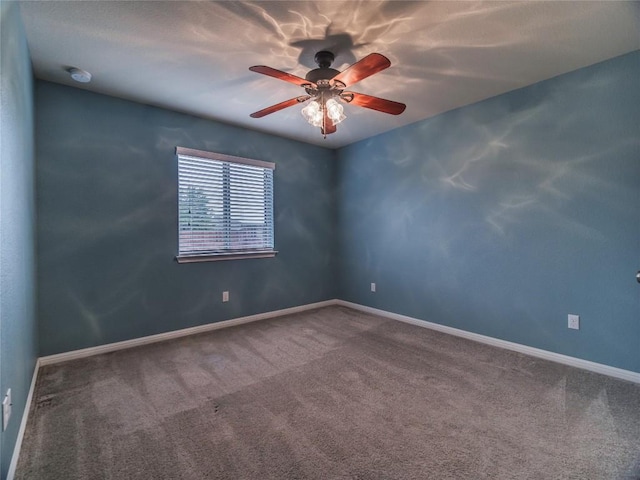 1501 Daylily Loop, Georgetown, TX 78626 - photo 12