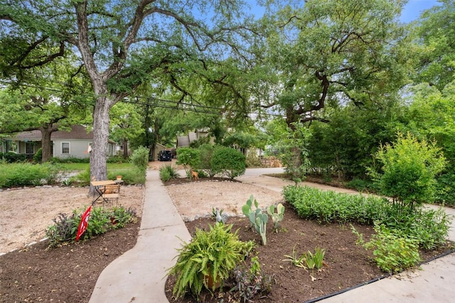 3003 Dancy St, Austin, TX 78722 - view of yard