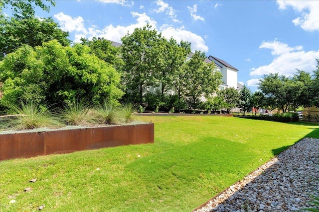 213 Black Wolf Run, Austin, TX 78738 - view of green lawn