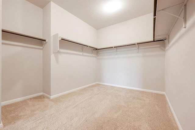 10820 Gonzales Ranger Pass, Austin, TX 78754 - spacious closet with carpet
