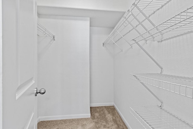 228 Trestle Tree, San Marcos, TX 78666 - photo 27