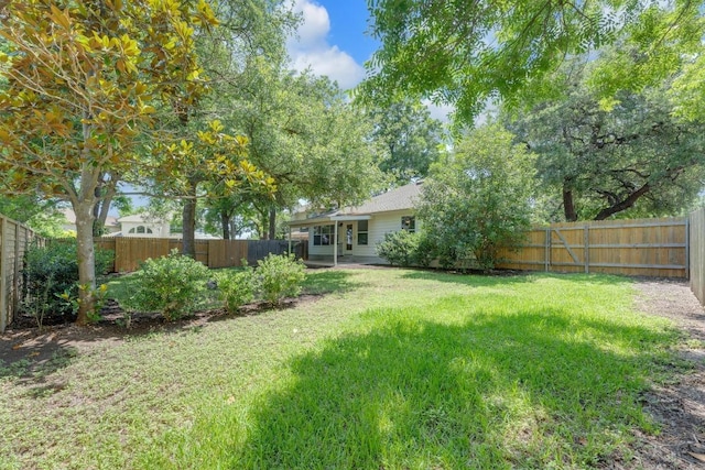 1908 Paradise Ridge Dr, Round Rock, TX 78665 - view of yard